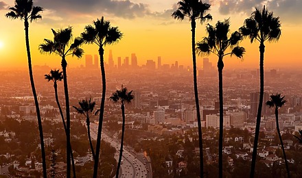 Hair Transplant Los Angeles Cost