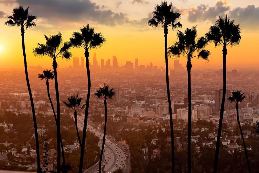 Hair Transplant Los Angeles Cost