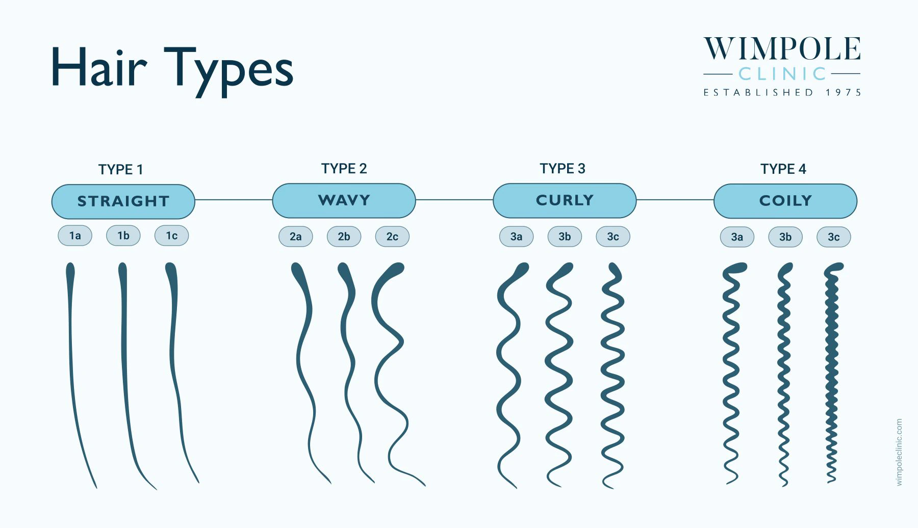 Hair types