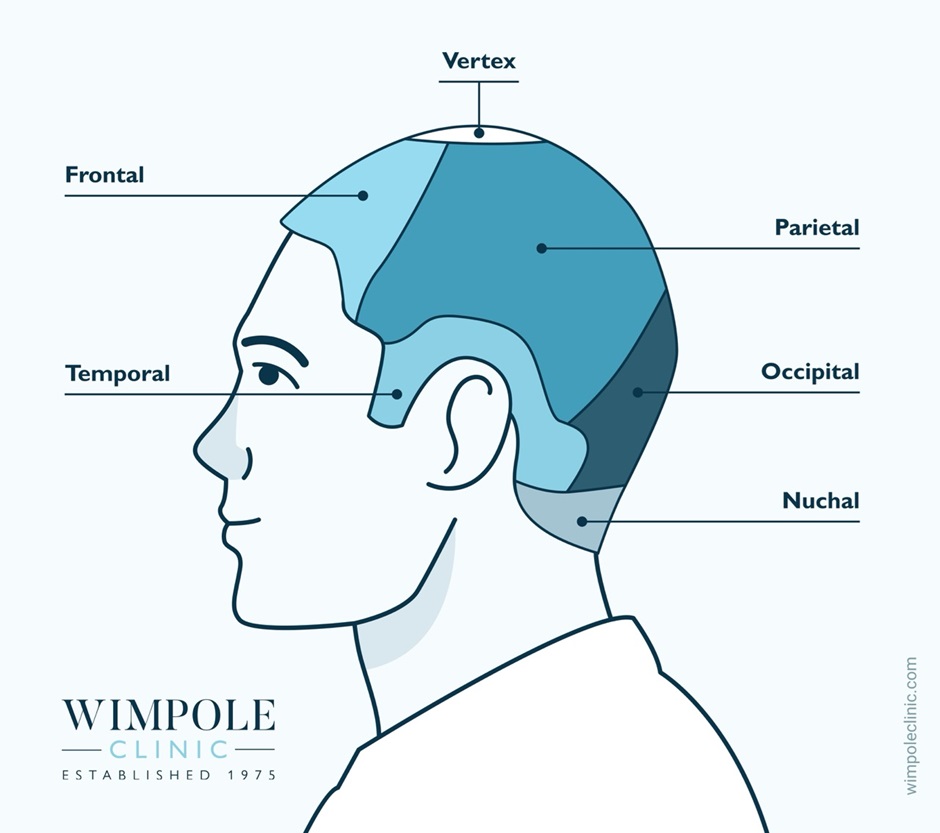 areas of scalp for head massage for hair growth