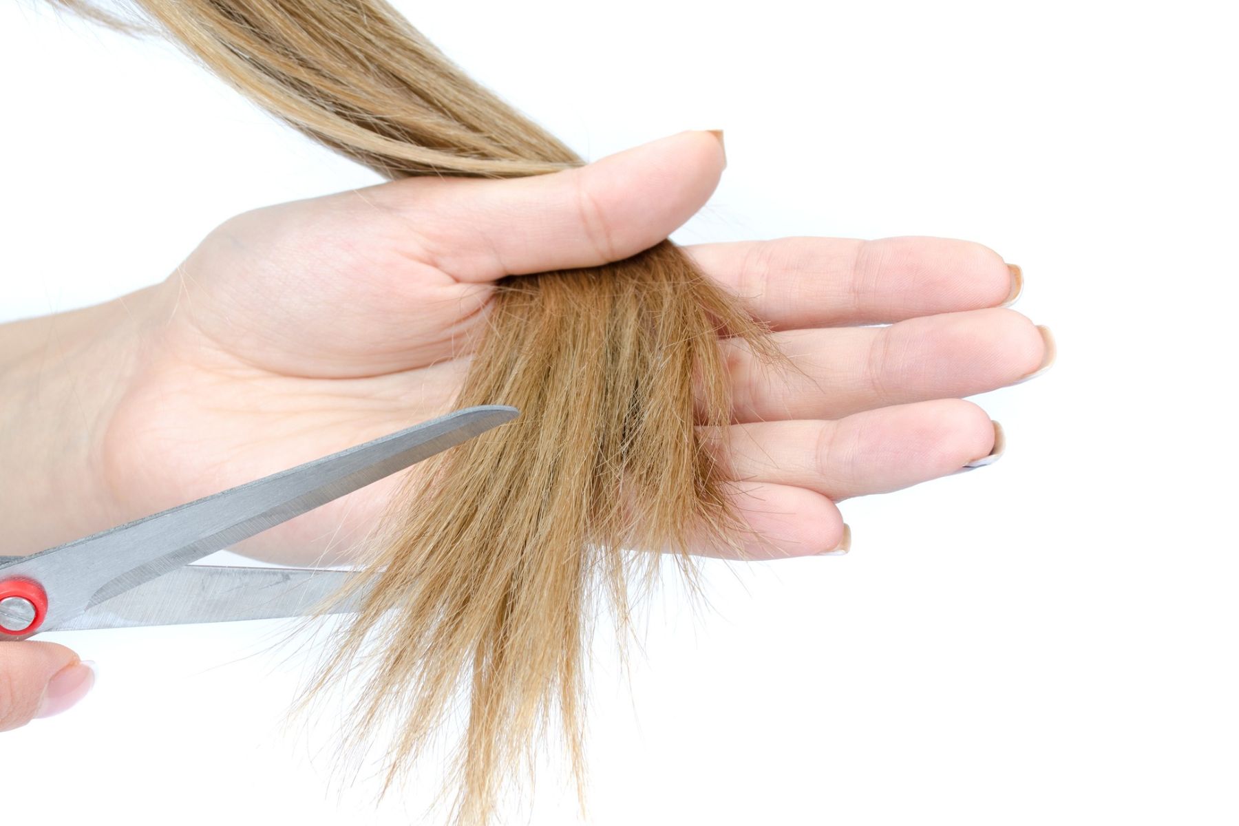 person cutting off dry and damaged split ends