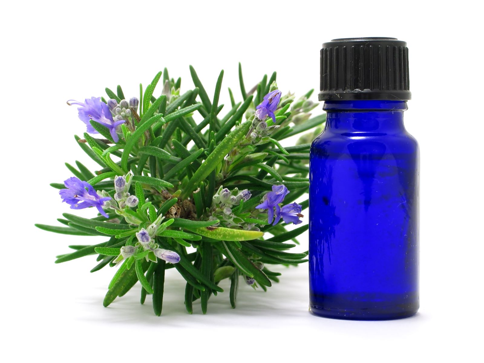 how to thicken your hair naturally with rosemary oil