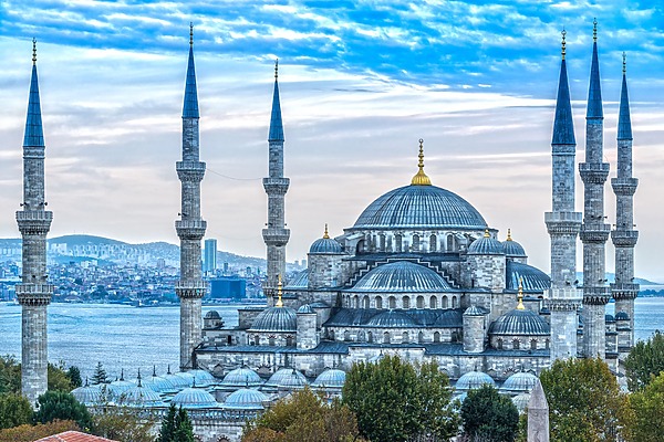 Why do people go to Turkey for hair transplant