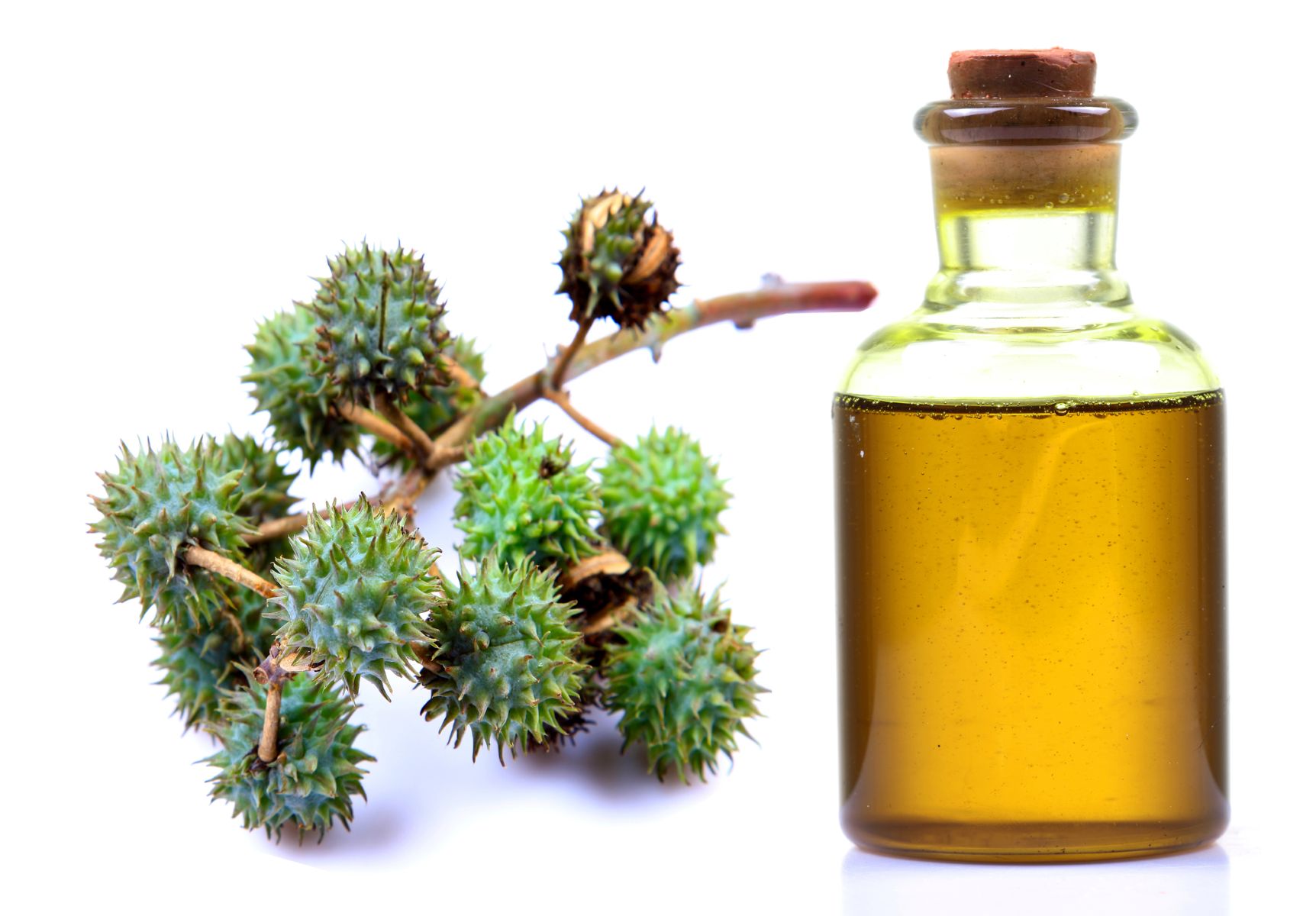 castor oil for eyebrow growth