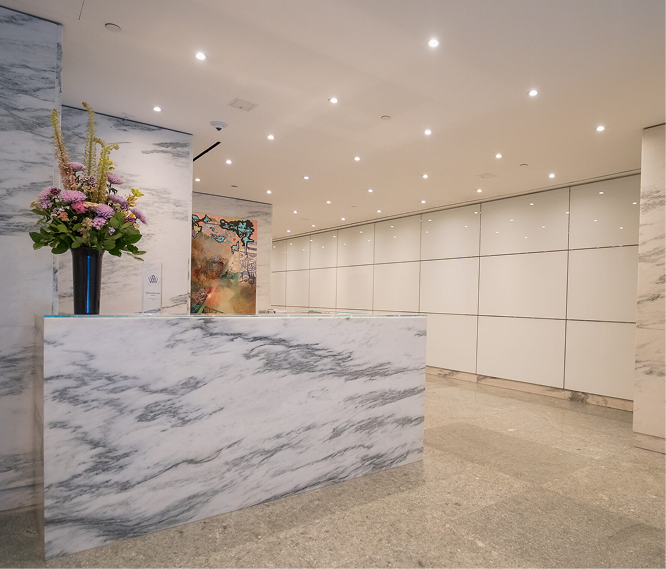 Hair Transplant Consultation & Care New York, Wimpole Clinic