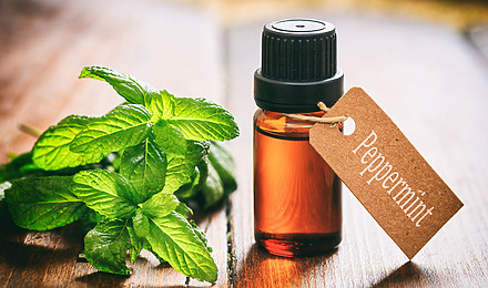 Peppermint Oil For Hair