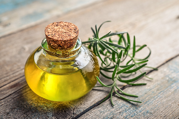 rosemary oil for hair growth