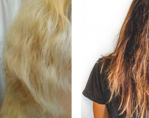 heat damaged hair