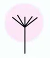 fork split
