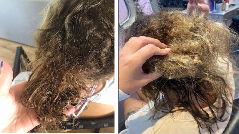 what does tangled, matted hair look like